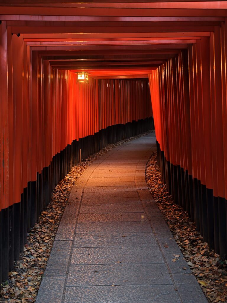 Oprowadzanie po Kyoto z Polskim Przewodnikiem - Nihon Guide. Najbardziej doświadczonym przewodnikiem w Kyoto